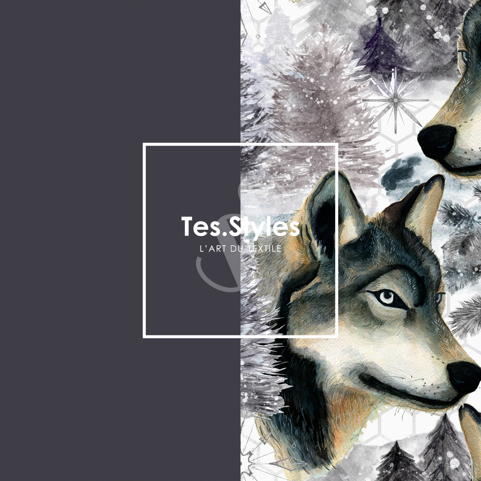 TS-24